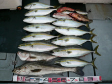 オーシャンスター(Ocean Star) …