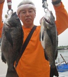 ＪＤＩ　Ｒａｃｉｎｇ　シールズマリンレジャー 釣果 投稿