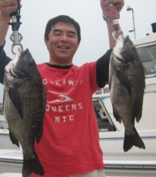 ＪＤＩ　Ｒａｃｉｎｇ　シールズマリンレジャー 釣果 投稿