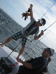 ＪＤＩ　Ｒａｃｉｎｇ　シールズマリンレジャー 釣果