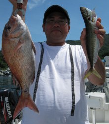 ＪＤＩ　Ｒａｃｉｎｇ　シールズマリンレジャー 釣果