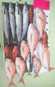 水天丸 釣果 投稿