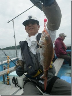 からこと丸 釣果 投稿