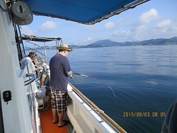 遊漁船 未紗奈 釣果