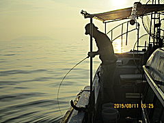 遊漁船 未紗奈 釣果