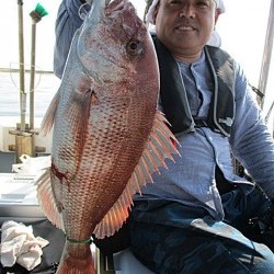 遊漁船 未紗奈 釣果