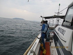 遊漁船 未紗奈 釣果