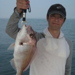 アンタレス 釣果