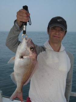 アンタレス 釣果