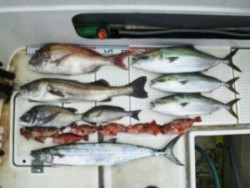 さぶろう丸 釣果