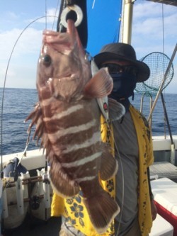 Blue.win 海人丸 釣果