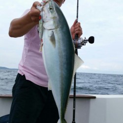 御座～田曽沖50m～80m釣果報告