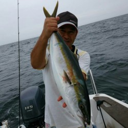 田曽沖50～60m釣果報告