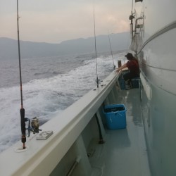 厳しかった敦賀のイカメタル