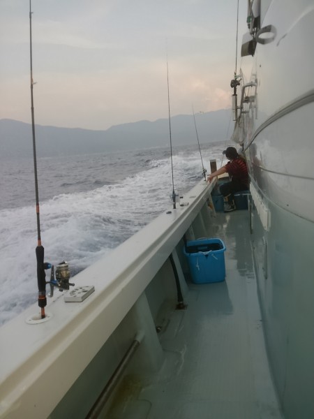 厳しかった敦賀のイカメタル