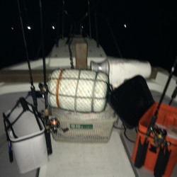 ゲキ渋イカメタル