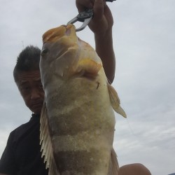 メタルバイブでアオハタ