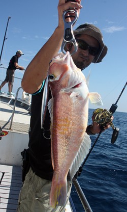 IZANAGI　イザナギ 釣果