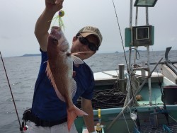 けいせい丸 釣果