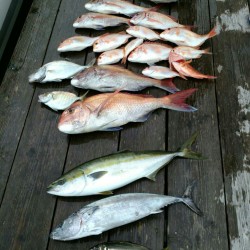 志摩沖70m～100m釣果報告