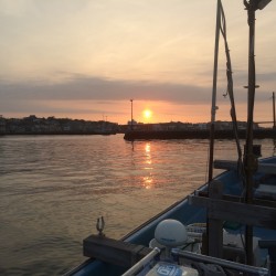 蛸墨族でオフショア