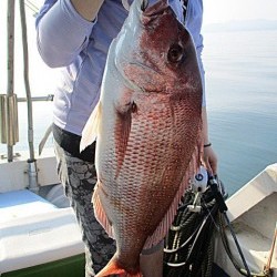 遊漁船 未紗奈 釣果