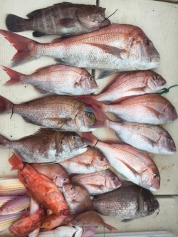 第七はやと （旧 満寿丸） 釣果