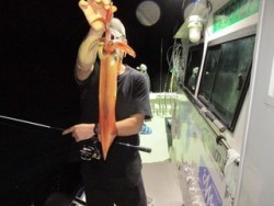 ジギング船 BLUEWATER 釣果