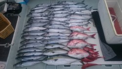 エムズジャーク（M's JERK…