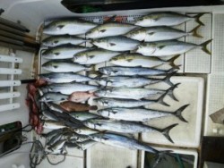 さぶろう丸 釣果