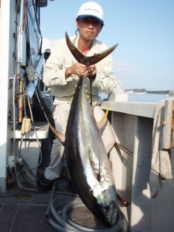 Marine Pro Y's　第…