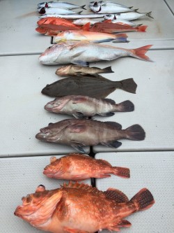 オーシャンキッズ 釣果