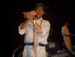 けいせい丸 釣果