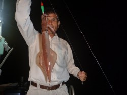 けいせい丸 釣果