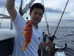 けいせい丸 釣果