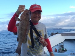 けいせい丸 釣果