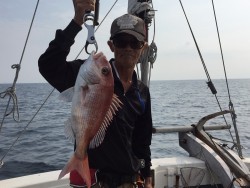 けいせい丸 釣果