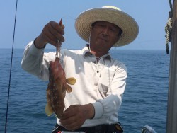 けいせい丸 釣果