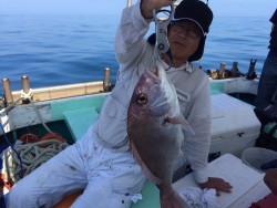 けいせい丸 釣果