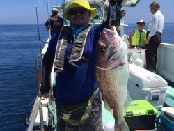 けいせい丸 釣果