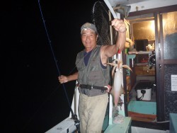 けいせい丸 釣果