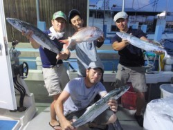 Hit Rush(ヒット ラッシュ） 釣果