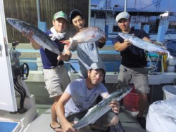 Hit Rush(ヒット ラッシュ） 釣果…