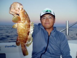 GRANDBLUE 釣果