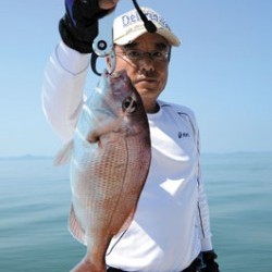 Marine T Design　マリンティーデザイン 釣果