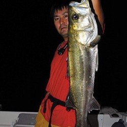 Marine T Design　マリンティーデザイン 釣果