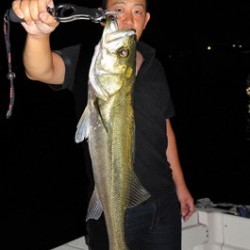 Marine T Design　マリンティーデザイン 釣果