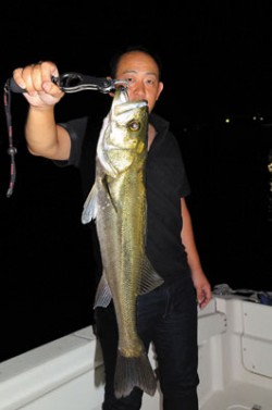 Marine T Design　マリンティ…