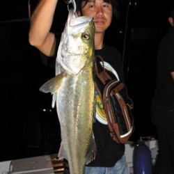 Marine T Design　マリンティーデザイン 釣果