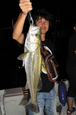 Marine T Design　マリンティーデザイン 釣果